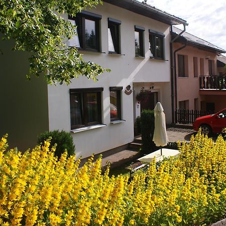 U Machacku - Lipno Apartman Lipno nad Vltavou Kültér fotó