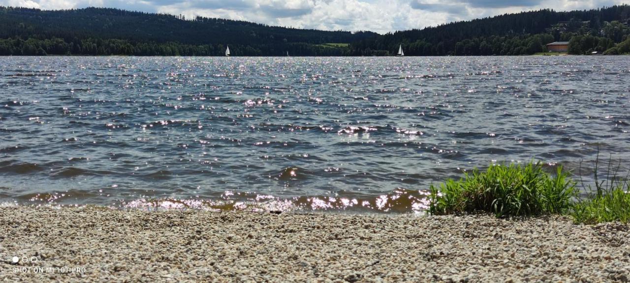 U Machacku - Lipno Apartman Lipno nad Vltavou Kültér fotó