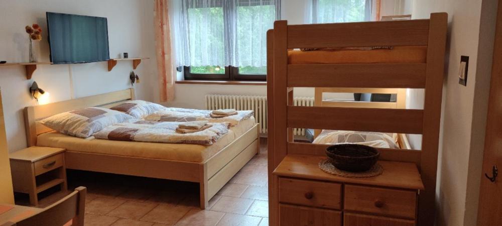 U Machacku - Lipno Apartman Lipno nad Vltavou Kültér fotó