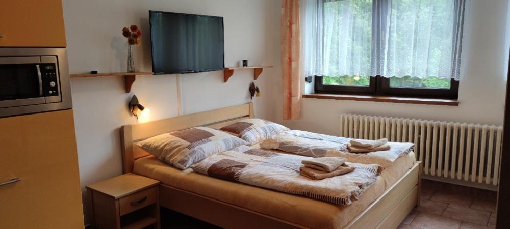 U Machacku - Lipno Apartman Lipno nad Vltavou Kültér fotó