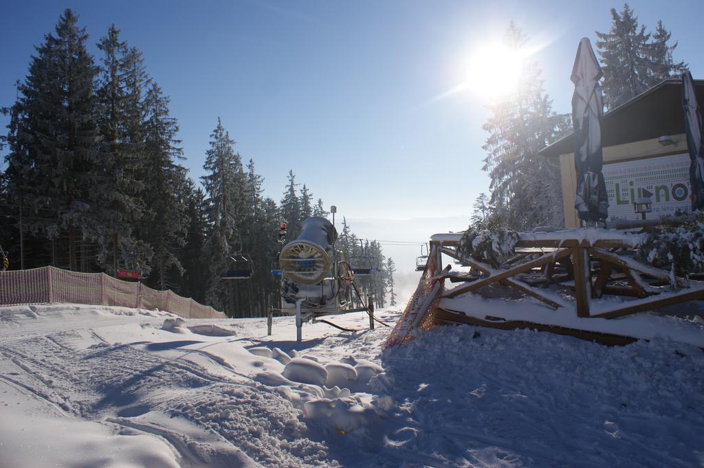 U Machacku - Lipno Apartman Lipno nad Vltavou Kültér fotó
