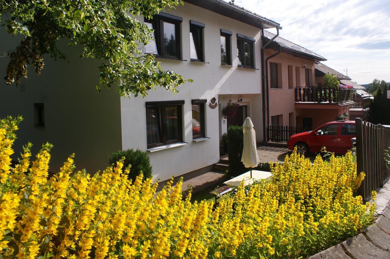 U Machacku - Lipno Apartman Lipno nad Vltavou Kültér fotó